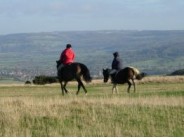 90. Horse riding in the Cotswolds